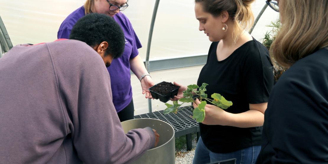 Craven CC Transitions Academy students (L-R) Leonte Becton, Amber Buszka, Ashley Pittman and Eliza Paisley Ward enjoy spending time in the college’s new greenhouse. (Photo by Meredith Laskovics)