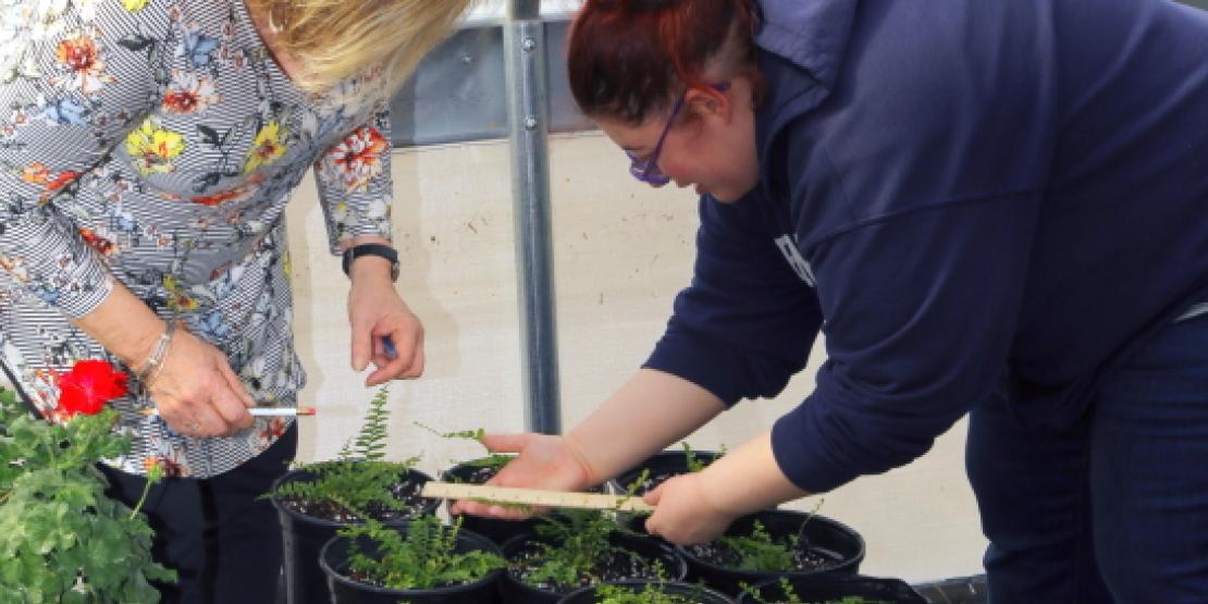 Brenda Laughinghouse (left), Craven CC Transitions Academy instructor, works with student Alex Snippe to properly measure and record plant growth. (Photo by Meredith Laskovics)