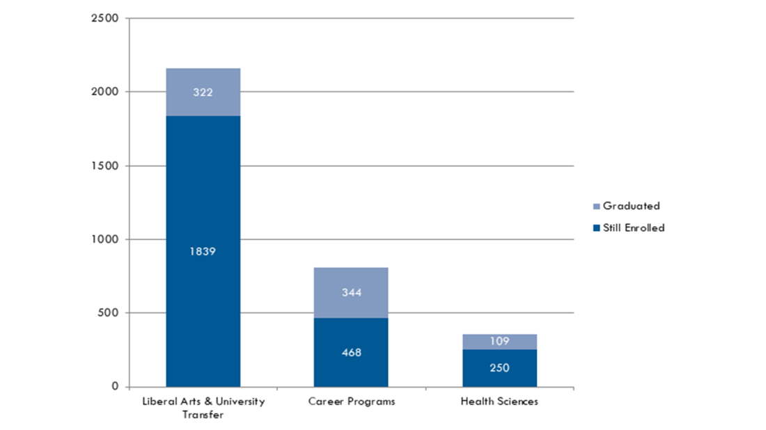Completion Rate by Program Area bar graph