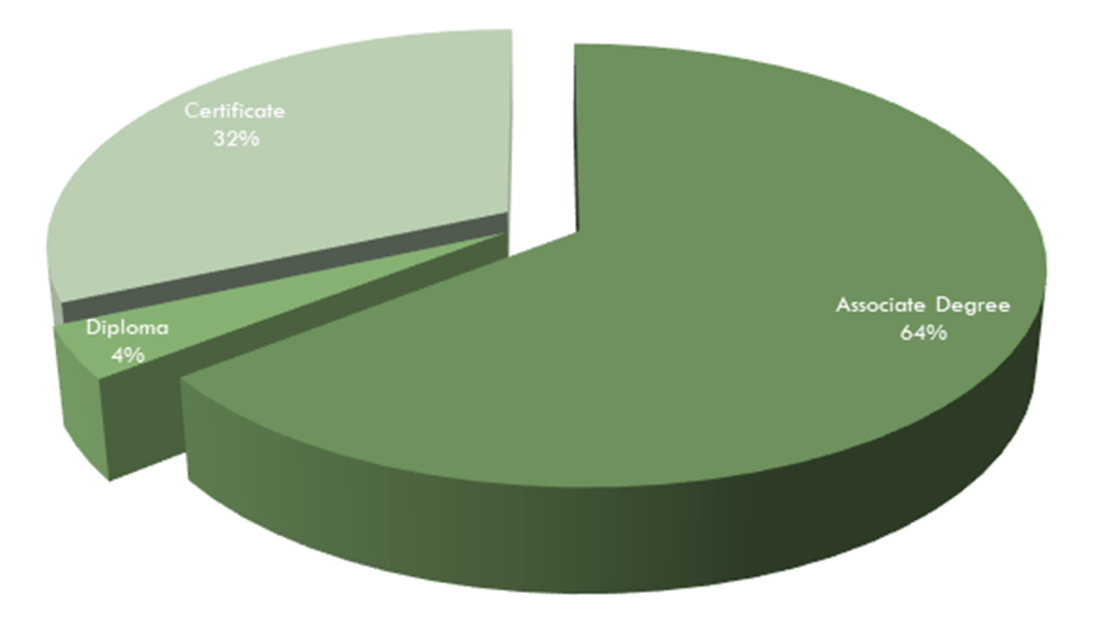 Completions by Degree Type pie chart