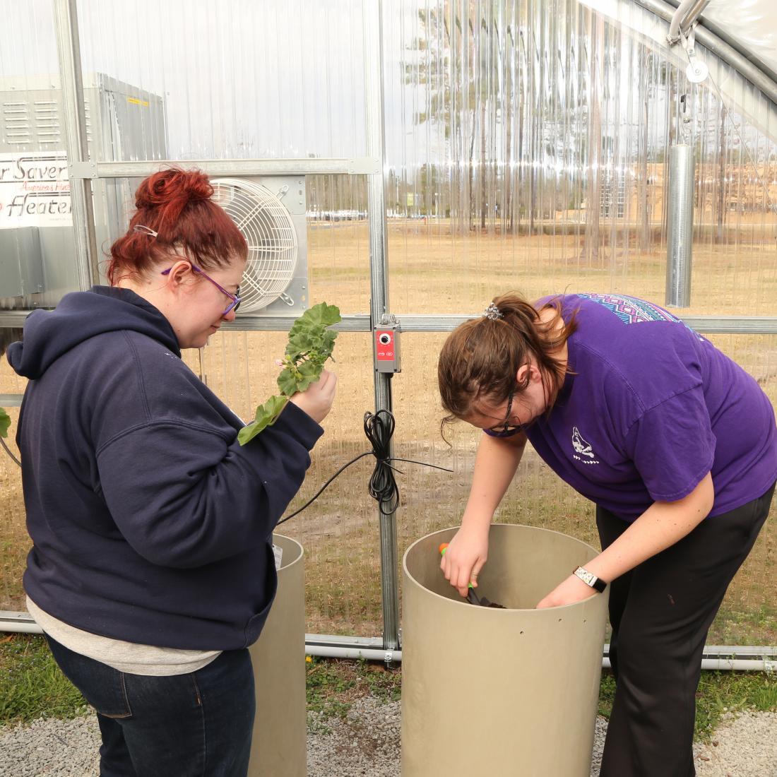 Two female students practice gardening techniques in a greenhouse