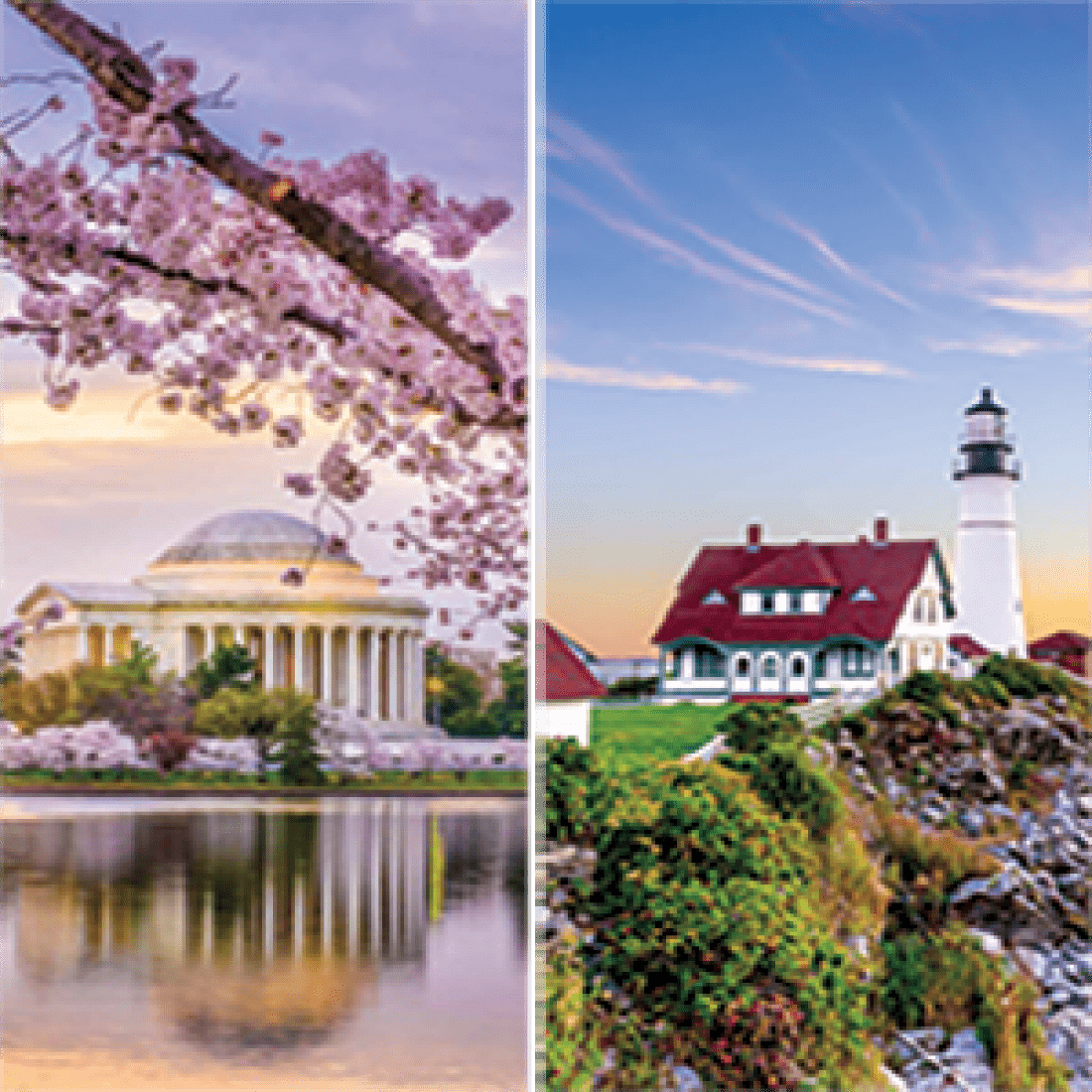 Washington DC cherry blossoms and lighthouse