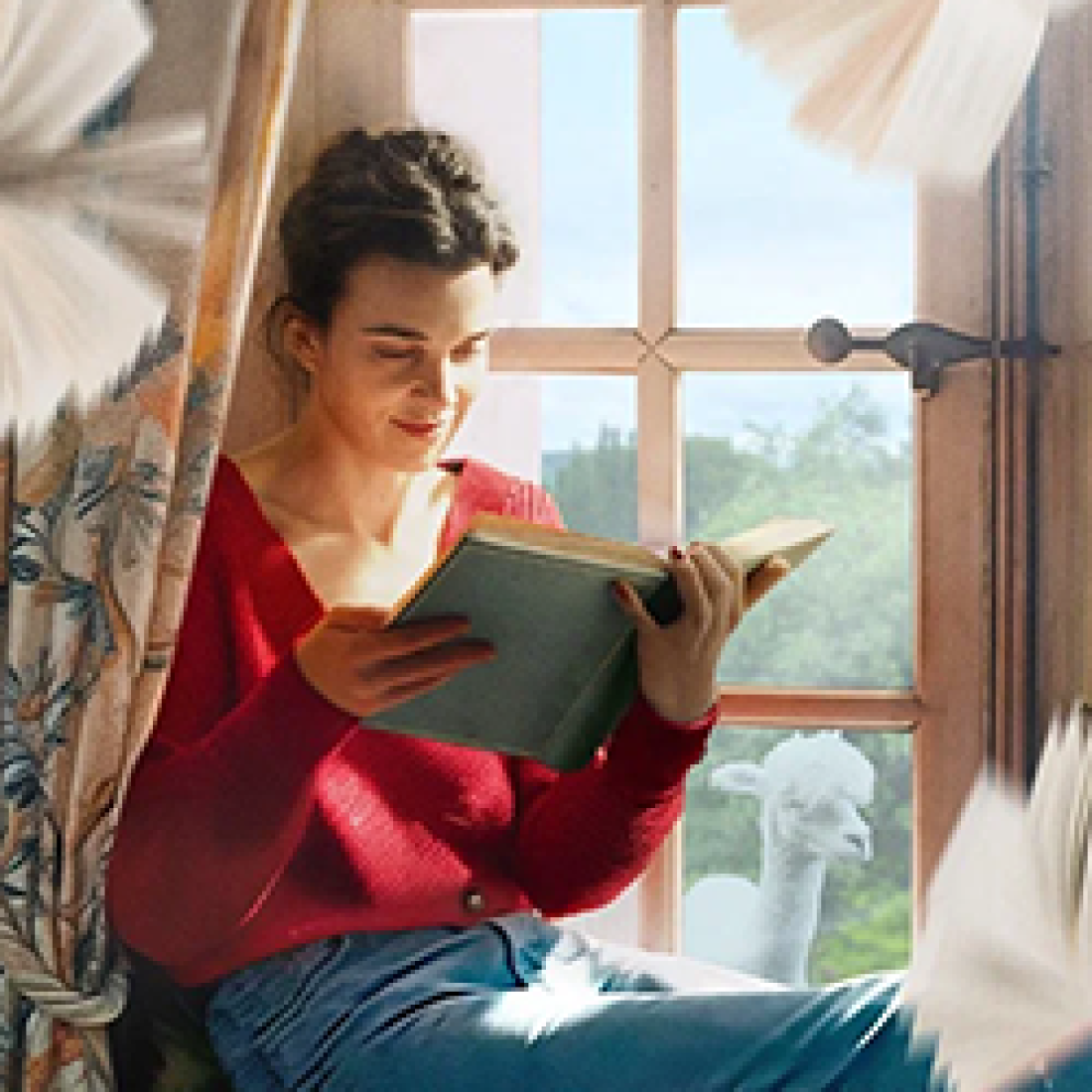 Young woman in a red sweater sits by a sunlit window reading a book. 