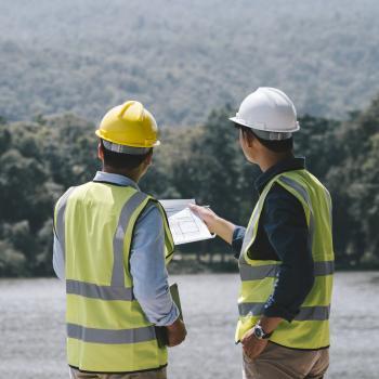 Two male forestry workers in hard hats and safety vests hold a blueprint and look out over a vast forest