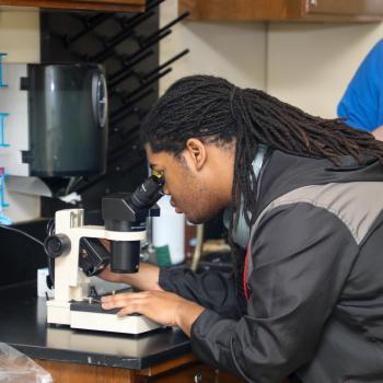 Science student examines a specimen through a microscope during a laboratory activity.