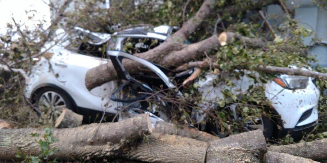 ​​​​​​​More than 30 Craven CC faculty and staff members lost vehicles and houses due to the inundation of floodwaters and high winds.