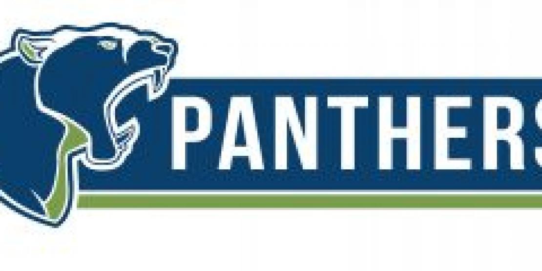 Panthers logo