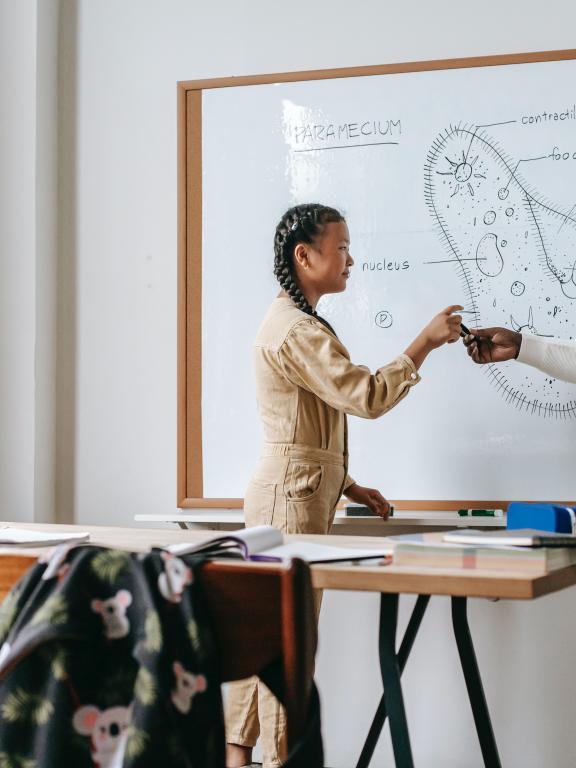 Teacher at white board with science diagram handing student marker