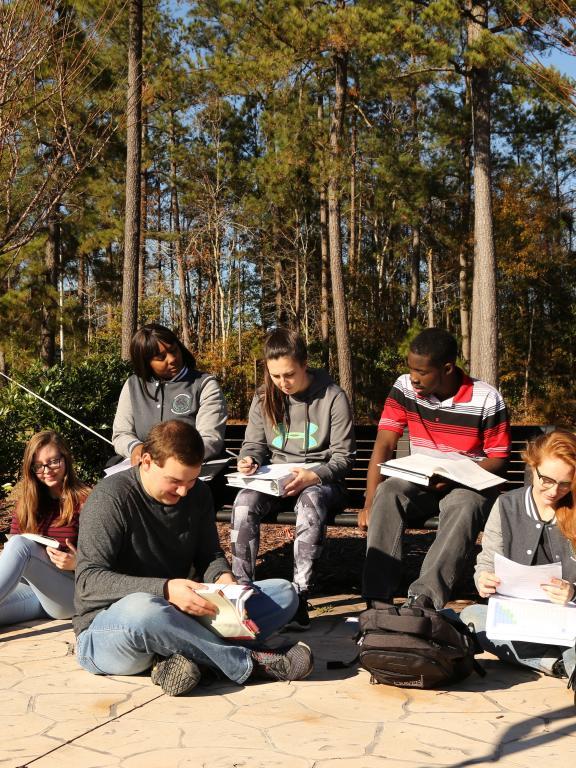 group of students studying outside