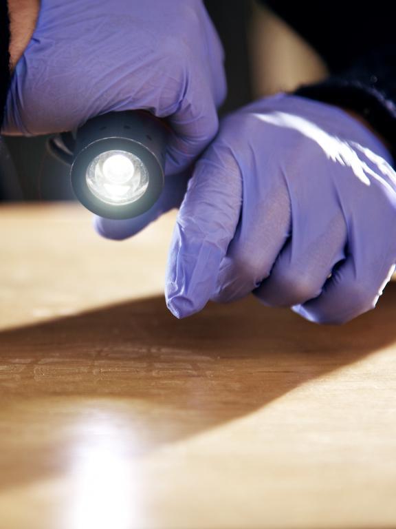 Person with latex gloved hands shines flashlight for evidence