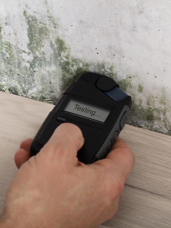 Person uses handheld device to test mold levels on wall