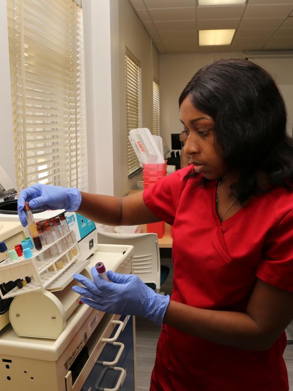 Phlebotomy student examines vials of blood