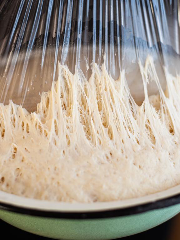 Bowl of sourdough starter in Saran wrap