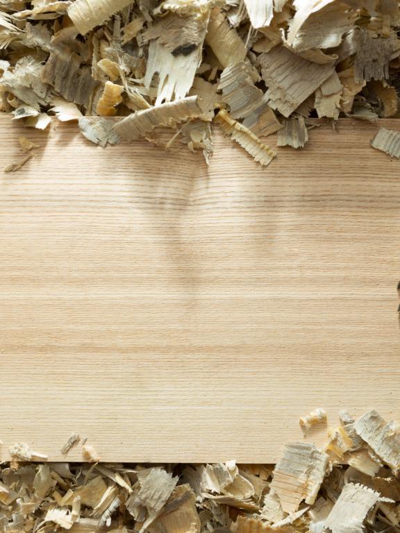 Wood plank with wood shavings and circular saw blade