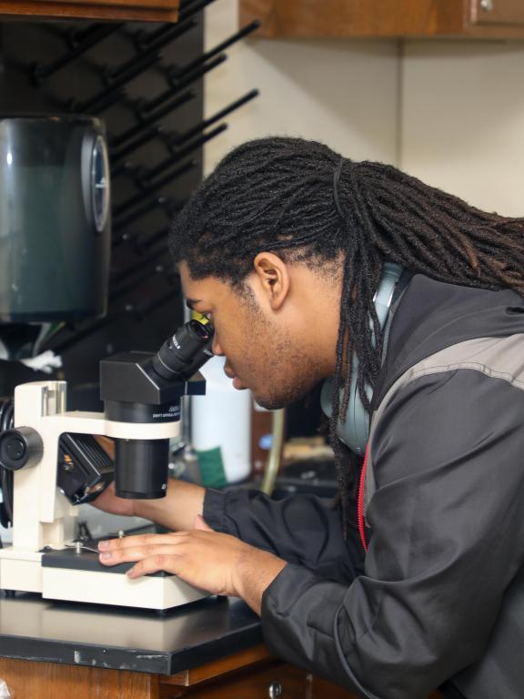 Science student examines a specimen through a microscope during a laboratory activity.