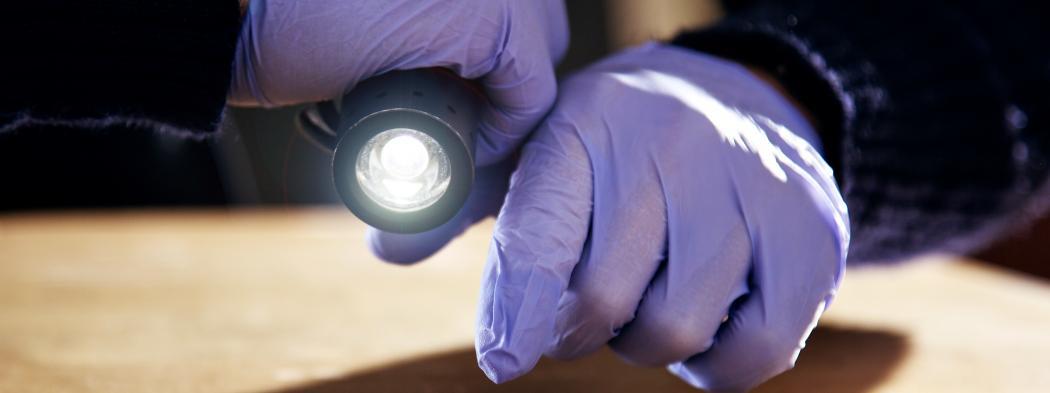Person with latex gloved hands shines flashlight for evidence