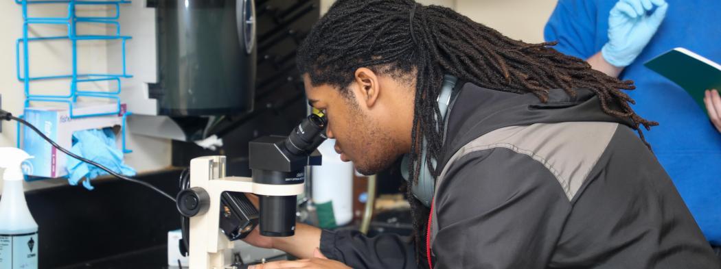 Science student examines a specimen through a microscope during a laboratory activity.